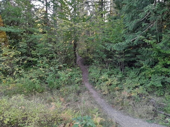 Building Photo - 1/2 off 1st Month's Rent ! Country Setting Single Wide Manufactured Home Silverbrook RV Park