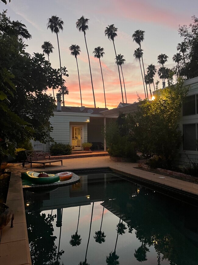 Vista del atardecer de palmeras desde el patio trasero - 1622 N Sierra Bonita Ave