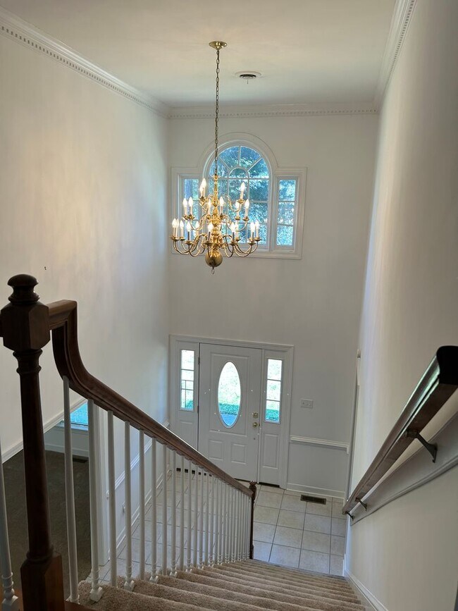 Foto del edificio - 5 Bedroom Home - Colonial Heights - Convenient to Fort Lee