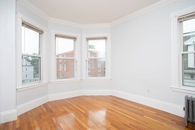Living room/bedroom 4 - 17 Bellflower St