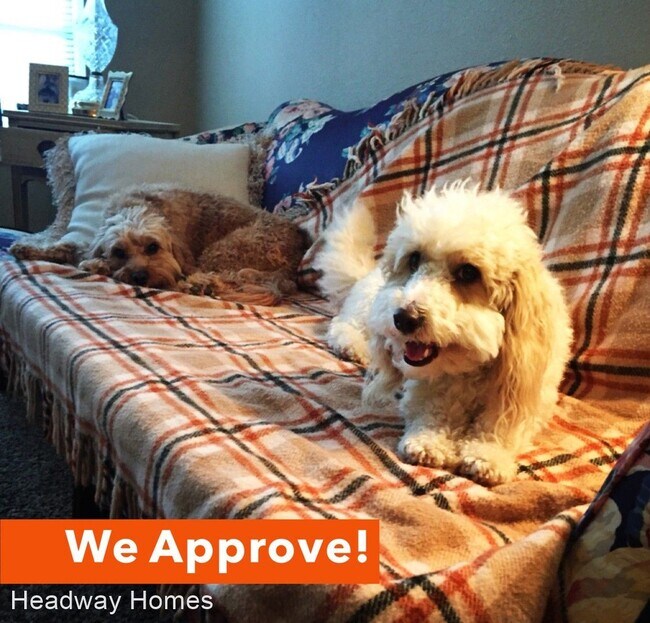 Foto del edificio - 4 br, 2 bath House - 7220 Woodson Rd