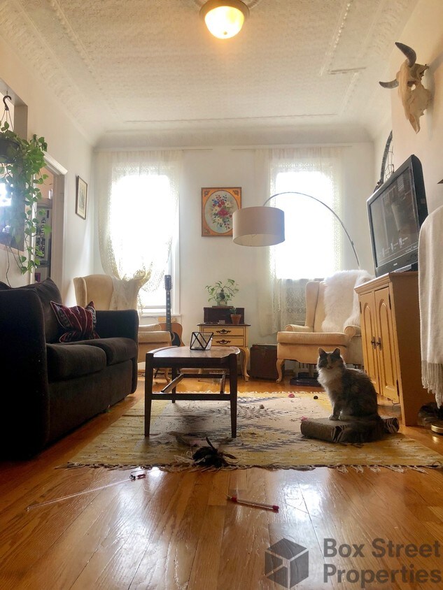 Primary Photo - 157 Monitor St