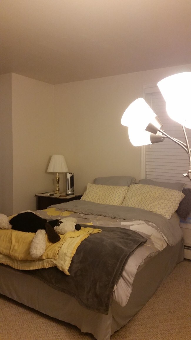 Clean Cheery Bedroom - 24 Franklin Pl