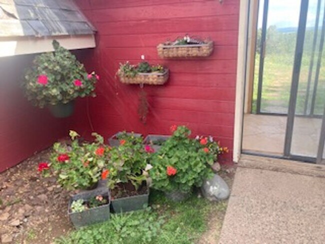 Foto del edificio - 50