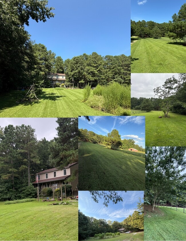 Building Photo - 1428 Outpost Rd