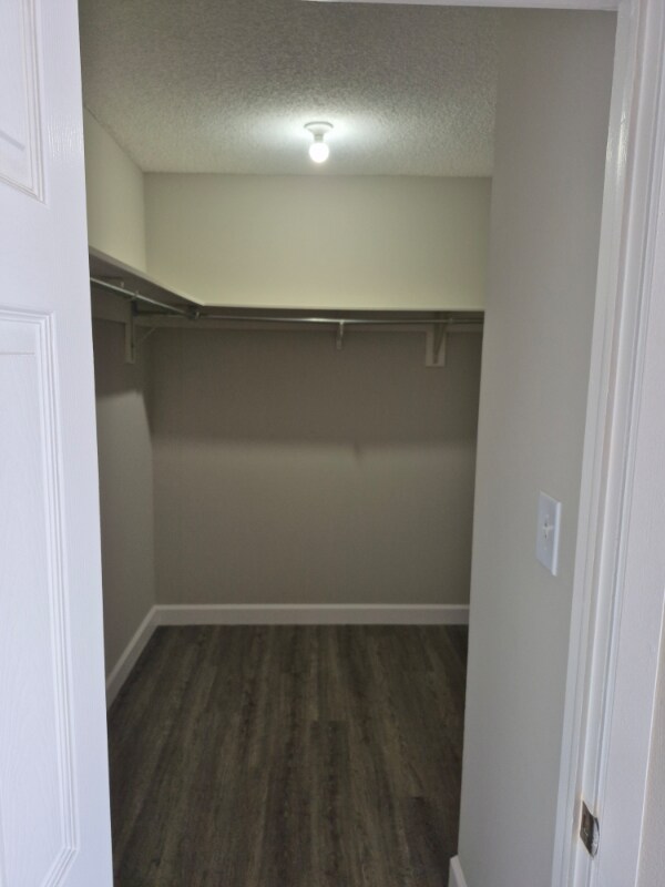 Foto del edificio - 5885 Forest View Rd