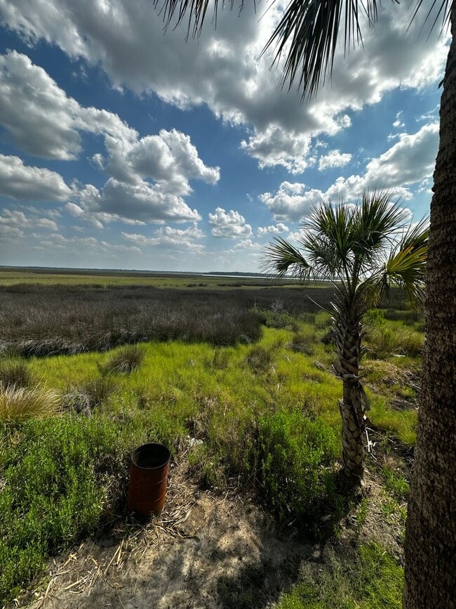 Building Photo - Stunning Marsh Views in Nassauville