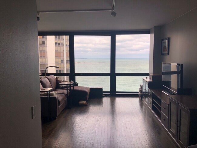 Foto del edificio - 900 N Lake Shore Dr