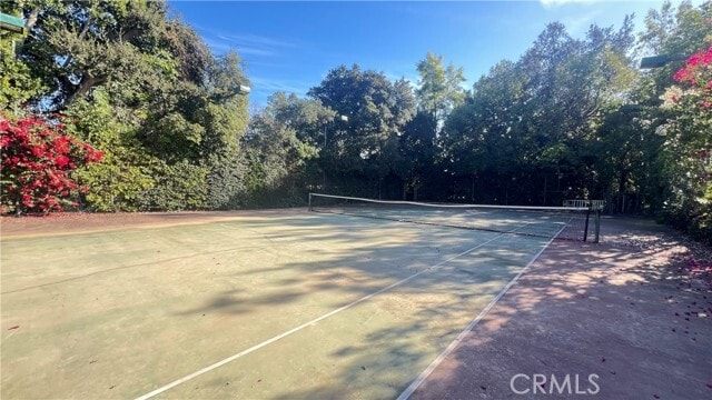 Foto del edificio - 2830 E California Blvd