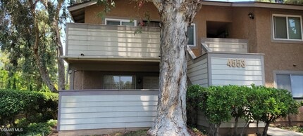 Building Photo - 4553 Alamo St