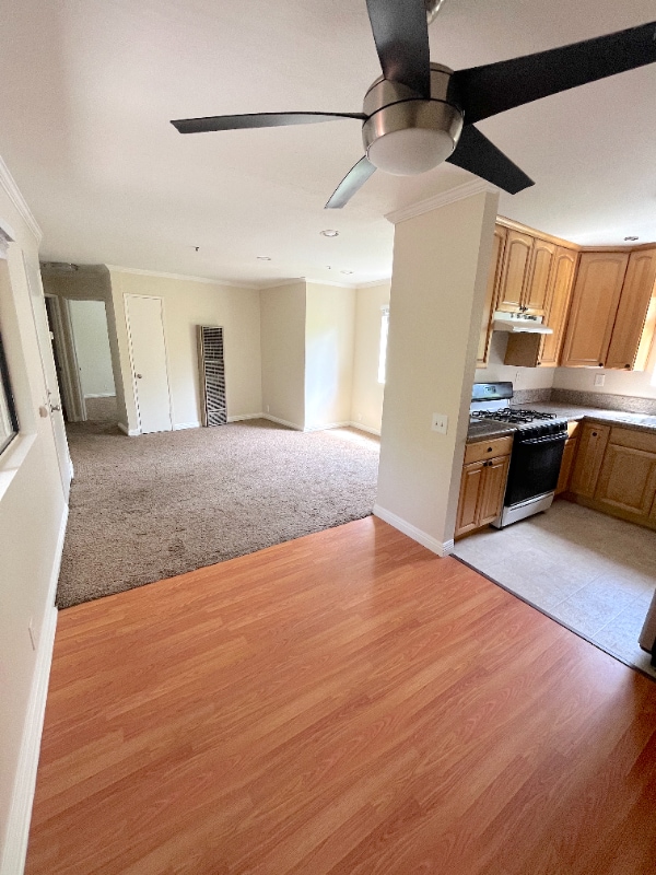 Building Photo - 248 W Avenida Palizada