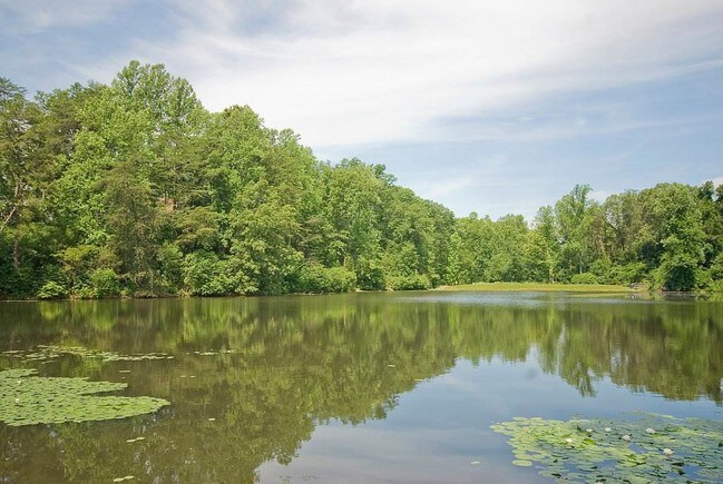 Foto del edificio - 120 Sundrops Ct