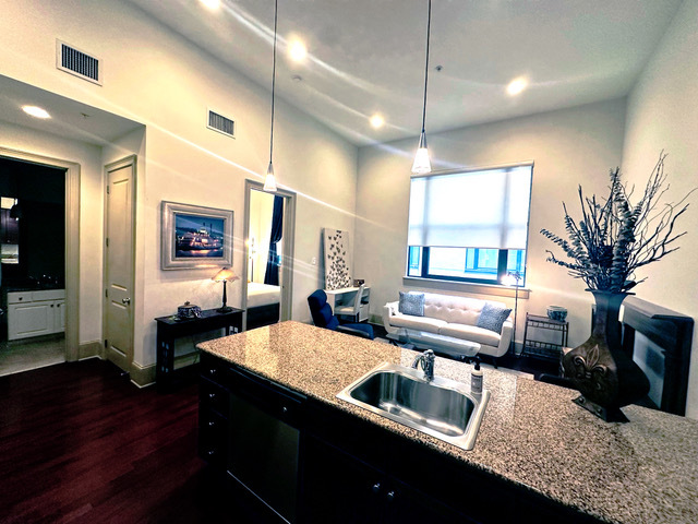 1201 Canal Furnished 1Bed/1 Bath - 1201 Canal St