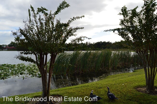 Foto del edificio - 155 N Pearl Lake Causeway