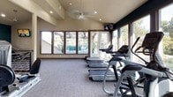 This fitness center is designed to accommodate a comprehensive workout experience within a thoughtfully laid-out, single-floor space. The interior is characterized by soaring vaulted ceilings that create an open, airy atmosphere, complemented by recessed lighting, ceiling fans, and elegant chandelier accents that add a refined touch to the functional environment.

The space is divided into distinct workout zones. A dedicated cardio area lines the perimeter near expansive floor-to-ceiling windows, offering views of an outdoor patio and surrounding greenery. Treadmills and elliptical machines are positioned to take advantage of this natural light and scenery. A wall-mounted television keeps members engaged during cardio sessions.

The strength and resistance training zone features multi-station cable machines, weight benches, and additional selectorized equipment. Large mirrors along one wall visually expand the space and assist with form correction. A water cooler is conveniently accessible nearby.

A bold teal accent wall adds a contemporary design element, contrasting with the warm beige tones throughout. A dark-finished storage console with open shelving sits centrally, providing organization for fitness accessories. Neutral-toned carpet flooring covers the entire workout area, contributing to both comfort and acoustics. The overall ambiance is clean, modern, and inviting.