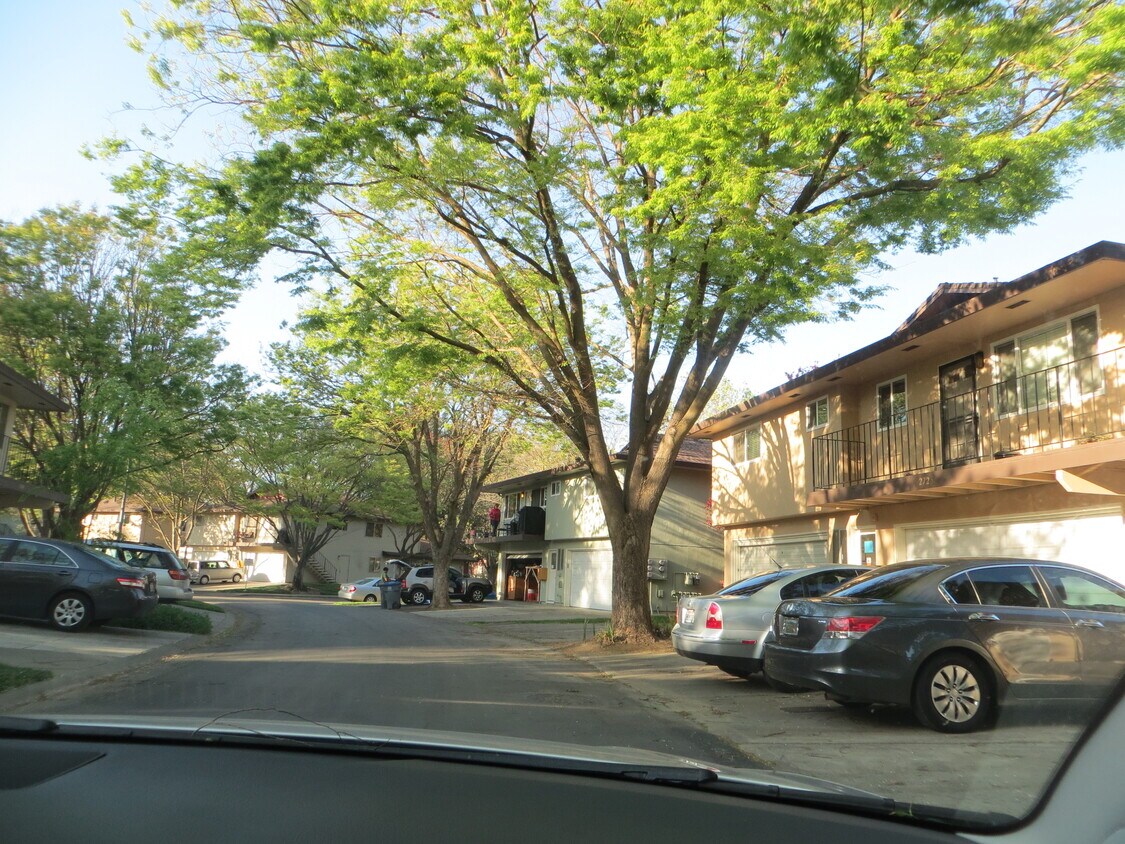 1805 Donner Ave, Davis, CA 95618 Condo for Rent in Davis, CA