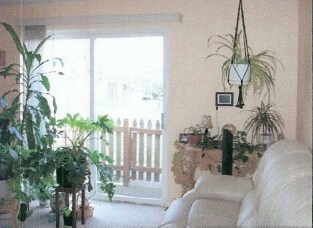 Floor Plan - 9805 SW Lookout Ter