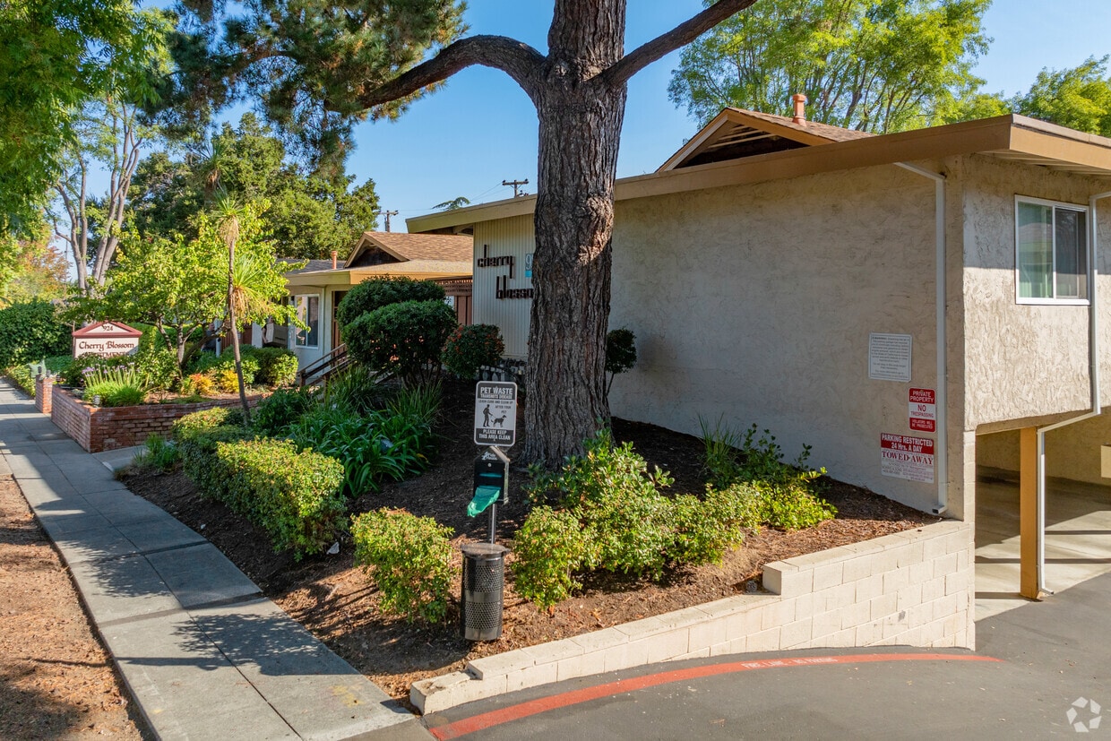 Cherry Blossom 924 Mangrove Ave Sunnyvale, CA 94086