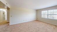 Located at 190 Duke St in Culpeper, VA, this two-bedroom, one-bathroom unit offers a practical and well-appointed single-floor layout. The open living area features warm, neutral-toned carpeting and a ceiling fan, creating a comfortable and inviting atmosphere. A partial wall with a granite countertop peninsula connects the living space to the kitchen, maintaining an open feel while defining each zone.

The kitchen is thoughtfully designed with rich dark cabinetry, granite countertops, a double stainless steel sink, and tile flooring. White appliances including a range and refrigerator complete the functional setup, while upper cabinets provide ample storage.

Both bedrooms are carpeted and finished with the same warm neutral palette. The primary bedroom is generously sized, offering a comfortable retreat with a window that brings in natural light and views of the surrounding greenery. The second bedroom also features a window and provides a versatile space suitable for guests or a home office.

The bathroom includes a bathtub and tile flooring, offering a clean and functional design. A dedicated in-unit laundry area houses a full-size washer and dryer with overhead shelving for added storage. This unit combines practicality with comfortable finishes in a convenient Culpeper location.