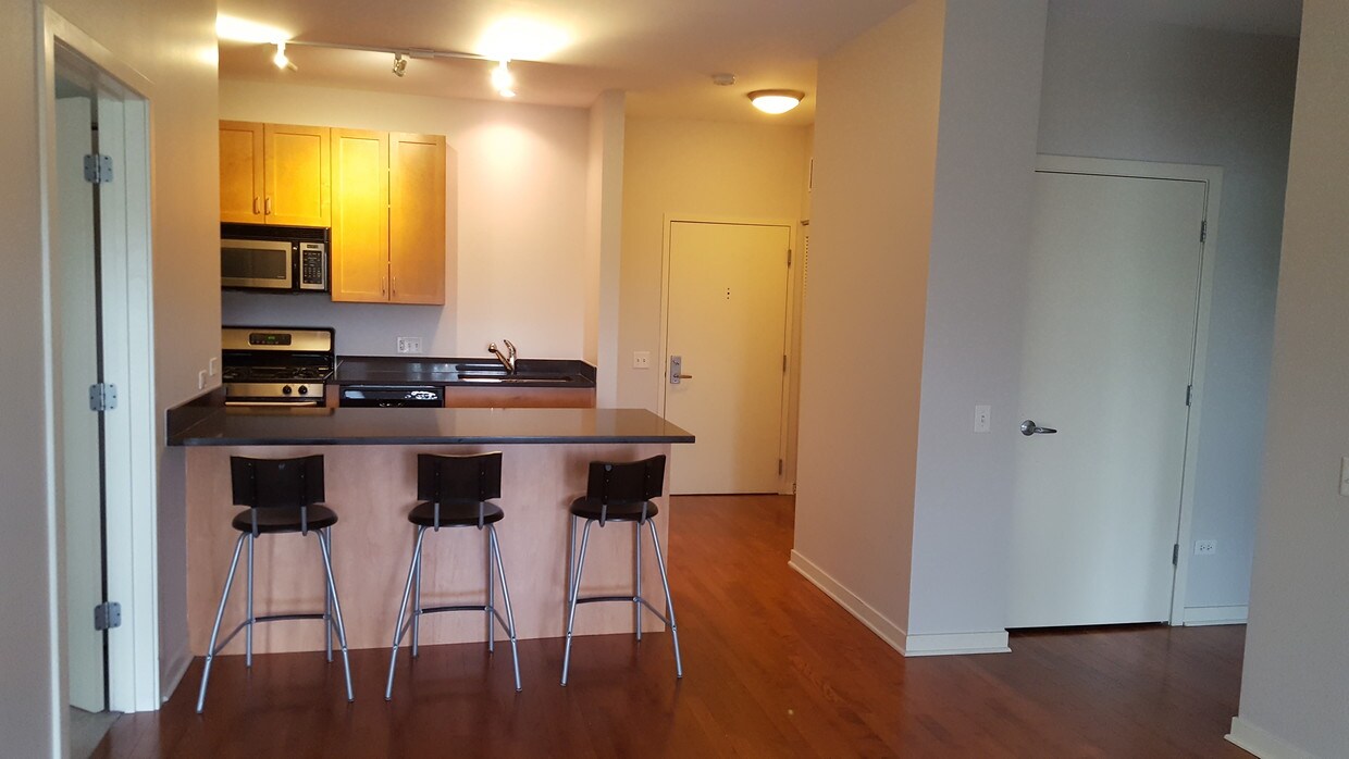 Kitchen _1 - 1155 W Roosevelt Rd