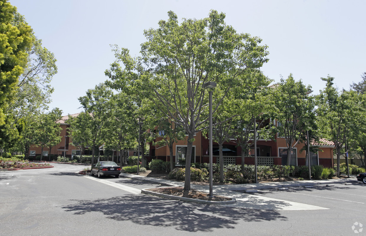 Primary Photo - Rosewood Terrace