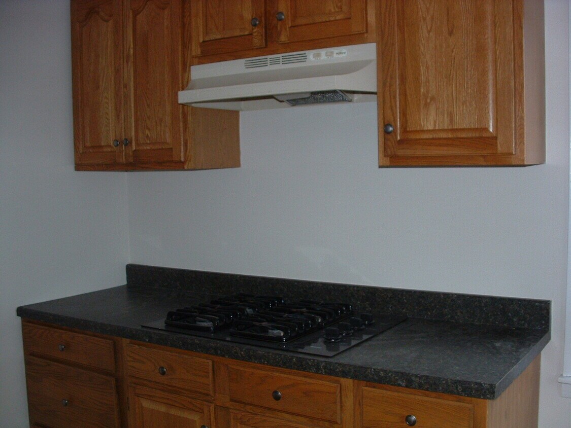 145 Wilson St, Montrose, PA 18801 Apartments in Montrose, PA