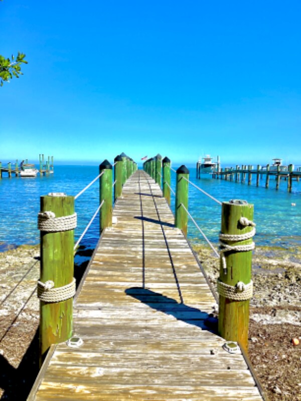 Building Photo - 232 Tarpon St