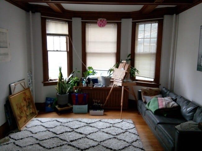 Livingroom area - 528 Warren Street