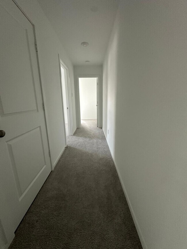Foto del edificio - 939 Pertuso Ln