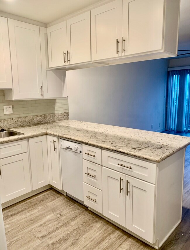 Recently Remodeled Kitchen - 10405 Irene St