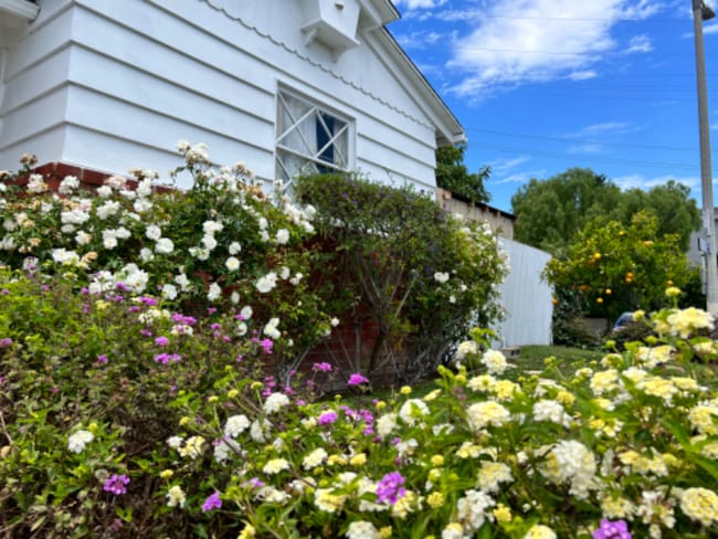 Building Photo - 1905 Elanita Dr