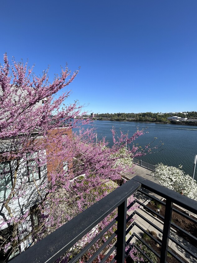 Primary Photo - 1612 NW Riverscape St