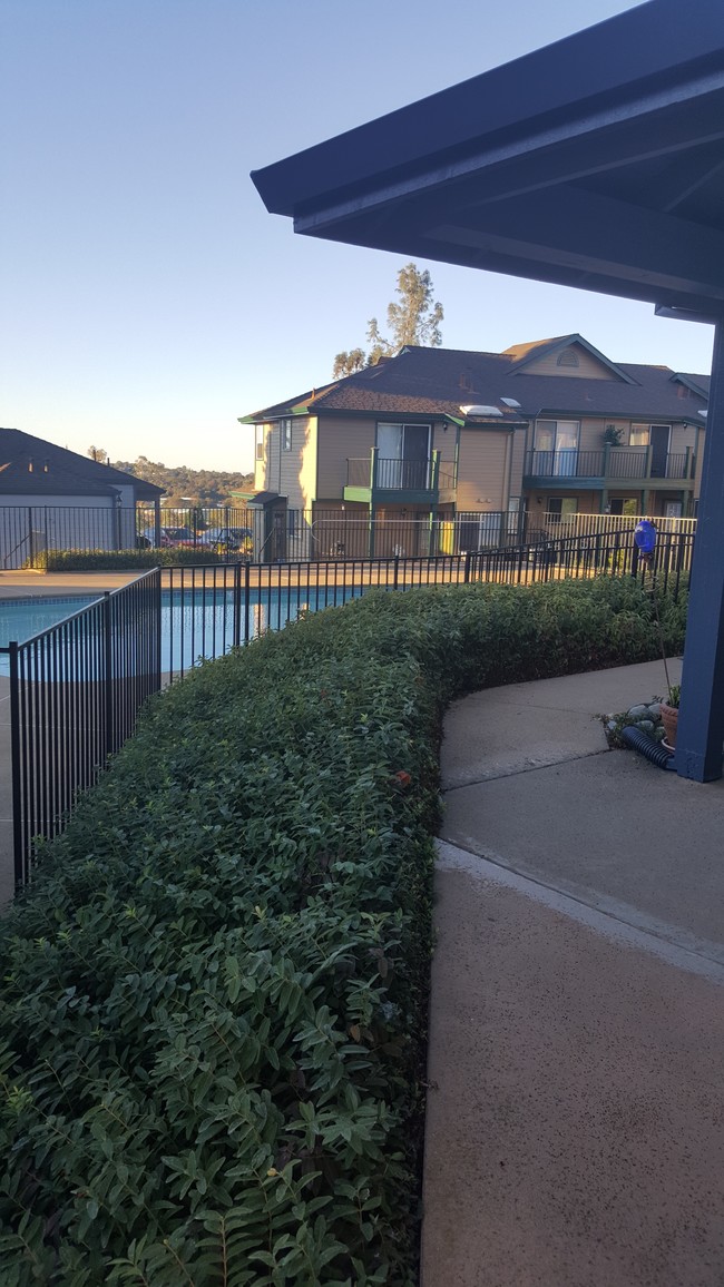 3820 Market Ct, Shingle Springs, CA 95682 Townhome Rentals in Shingle