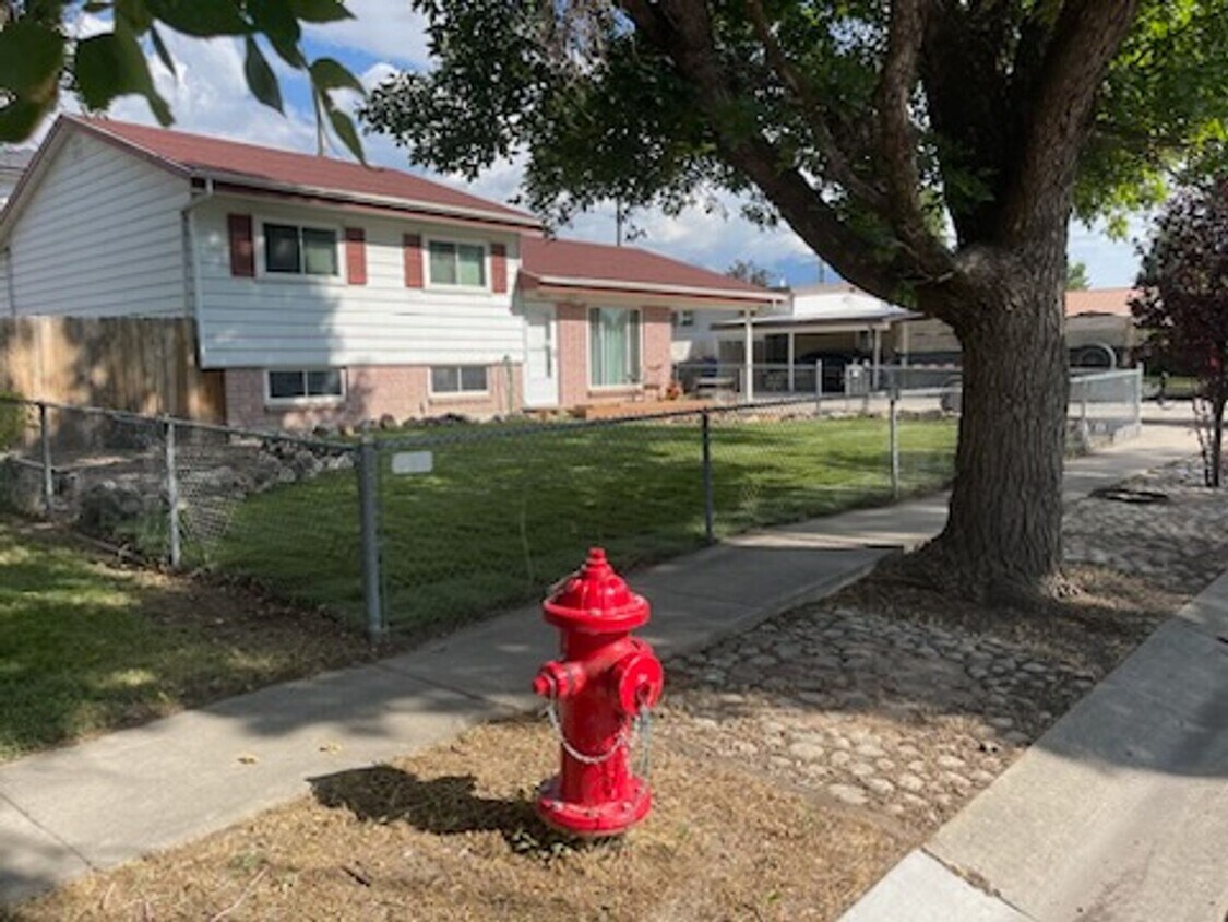 Primary Photo - 4663 Namba Way