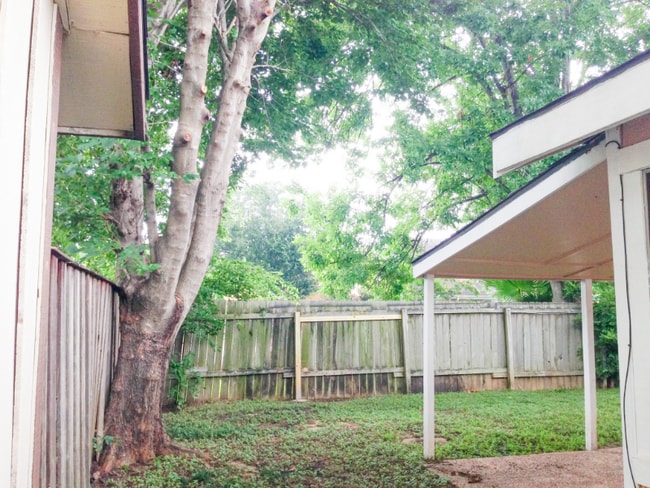 Building Photo - 2803 Meadowgrass Ln