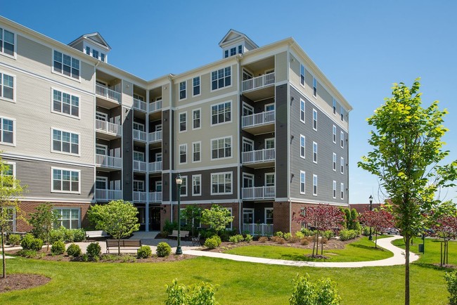 Building Photo - The Elms at Clarksburg Village Encore