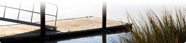 Las comodidades para embarcaciones incluyen muelle y rampa comunitarios - Ashley River Commons