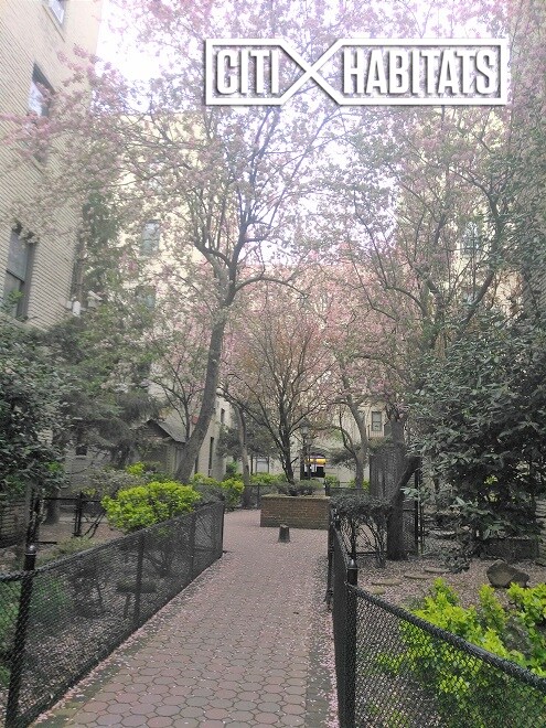 Building Photo - Acropolis Gardens