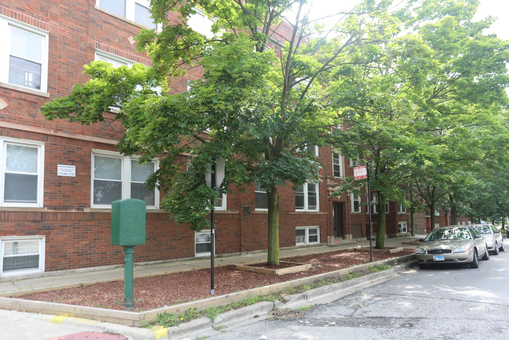 Primary Photo - 1249 W Byron St