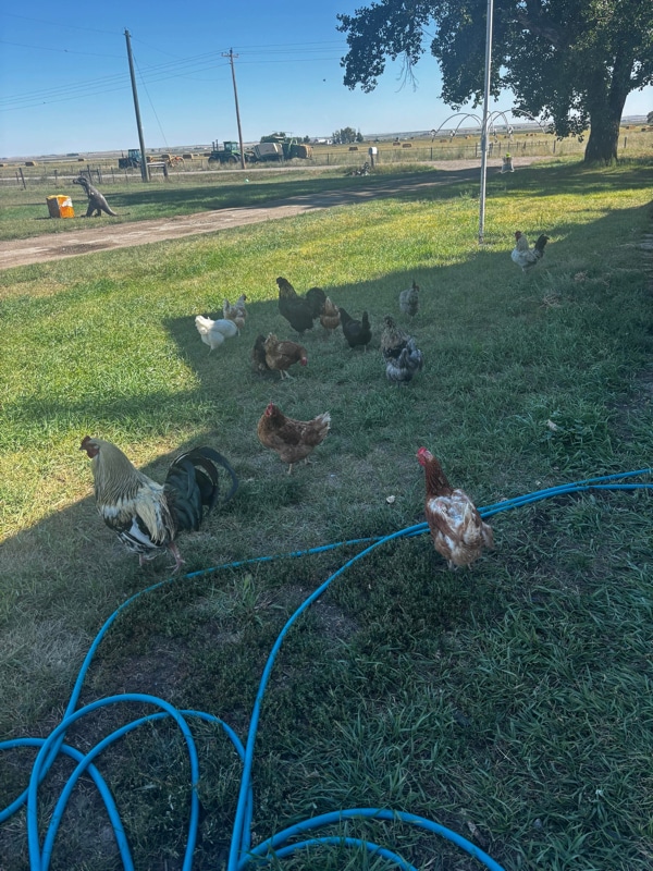 Building Photo - 390 Little Rd