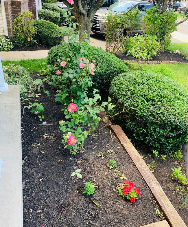 Flower Bed in Front - 225 Fountayne Ln