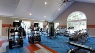 This fitness center offers a bright and energizing environment designed to support a well-rounded workout experience. The space is defined by soaring vaulted ceilings that lend an open, airy feel, complemented by an abundance of natural light streaming in through large windows and an arched accent window that frame views of surrounding greenery. Recessed lighting and a large ceiling fan ensure the space remains comfortable and well-lit throughout the day. The flooring makes a bold visual statement, featuring a dynamic combination of patterned blue herringbone carpet tiles and vibrant red-accented area rugs, adding a modern, energetic aesthetic to the room. A decorative horizontal stripe detail along the walls reinforces the contemporary design. The equipment layout is thoughtfully arranged to maximize usable space, with a full complement of cardio machines including treadmills, ellipticals, and stair climbers, as well as a multi-station cable strength machine and additional free weight and resistance equipment. The single-floor layout ensures easy accessibility throughout. Large windows on multiple walls connect the interior to the natural surroundings, creating a motivating atmosphere that blends functionality with an inviting, polished design.