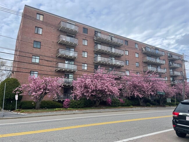 Building Photo - 46 Cochituate Rd