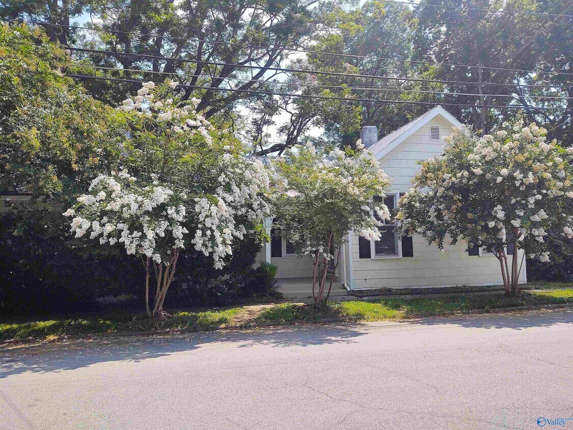 Primary Photo - 208 White St SE