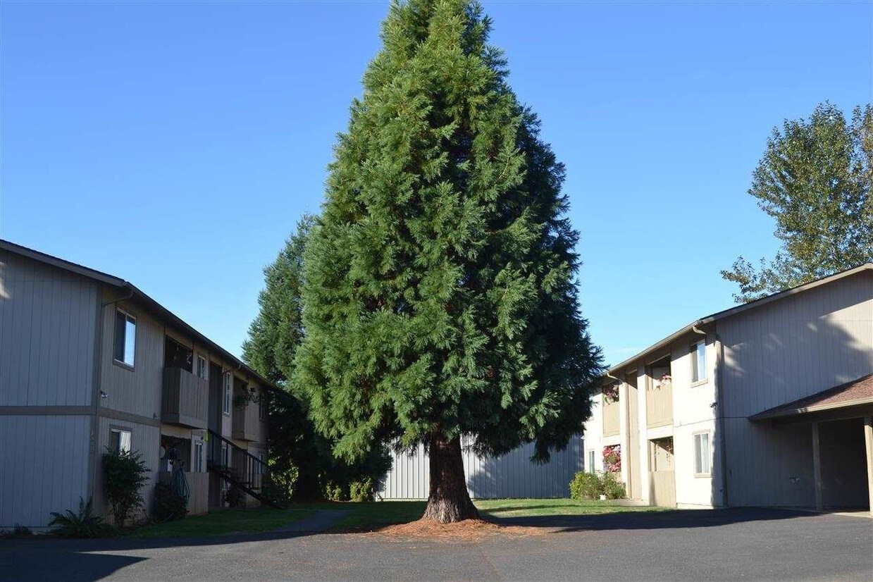 Foto principal - 1310 45th Ave