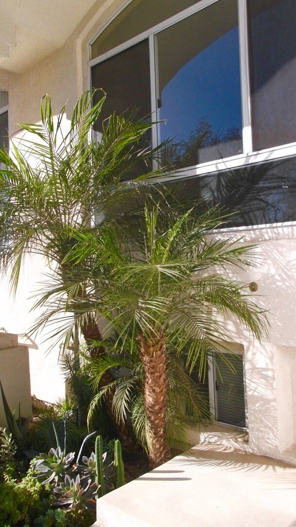 Foto del edificio - Stunning Updated & Spacious 3-Level Townho...