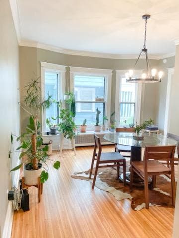 Foto del edificio - Fully Renovated Park and Beverly!