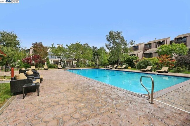 Willows Pool - 2101 Shoreline Dr