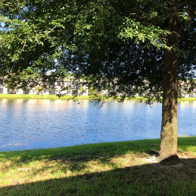 234 Golden Lake Loop Unit Sebastian Cove, St Augustine Beach, FL 32084 Condo for Rent in St