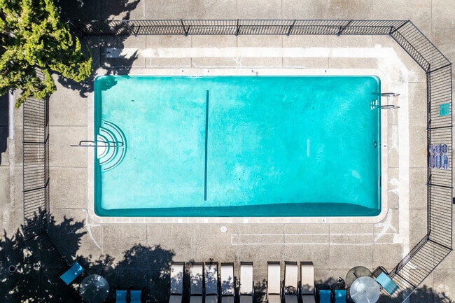 Pool - Fletcher Towers